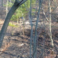 brush fire april 16 2008 021